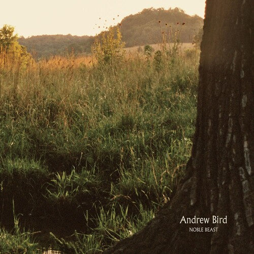 Andrew Bird: Noble Beast - CD‑Audio