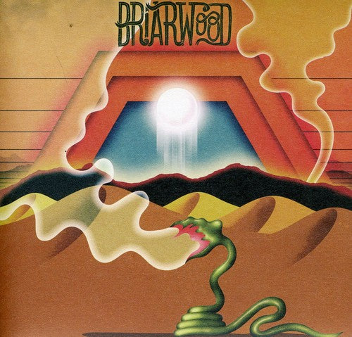 Wooden Wand & the Vanishing Voice: Briarwood - CD‑Audio