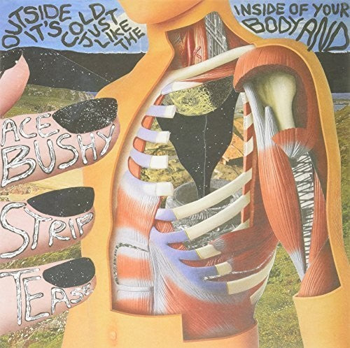 Ace Bushy Striptease: Outside It's Cold Just Like the Inside of Your Bod / Record