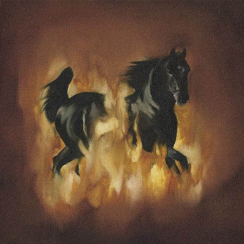 The Besnard Lakes- The Besnard Lakes Are The Dark Horse [ VINYL LP ]