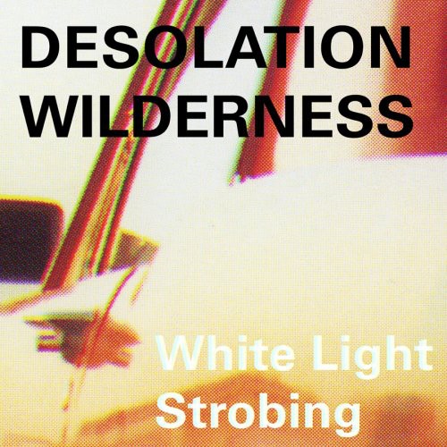 Desolation Wilderness: White Light Strobing - CD‑Audio
