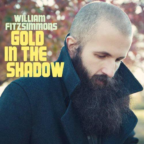William Fitzsimmons- Gold in the Shadow [ VINYL LP ]