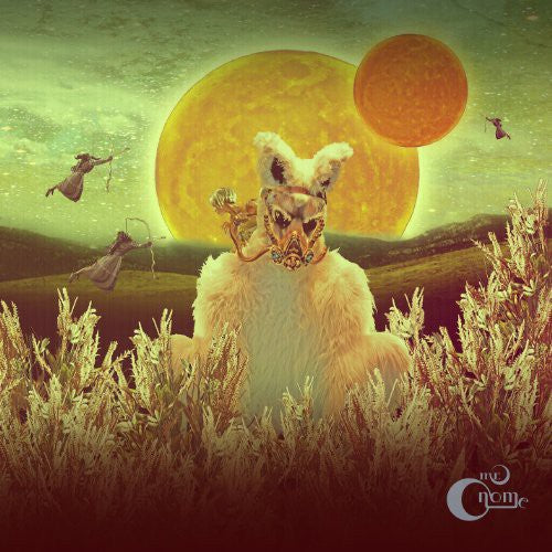 Mr Gnome- Madness in Miniature [ VINYL LP ]