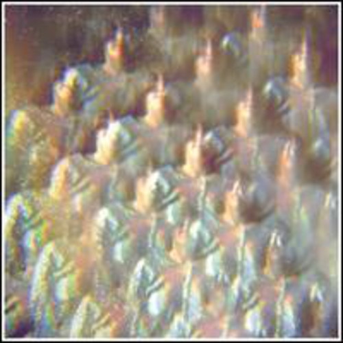 Stealing Sheep: Into the Diamond Sun  / Record