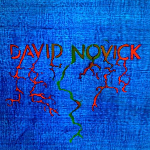 David Novick: David Novick  / Record