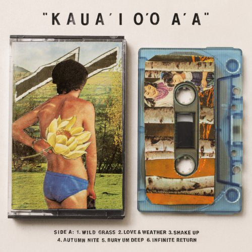 Gentle Friendly: Kaua'i O'O A'a  / Record