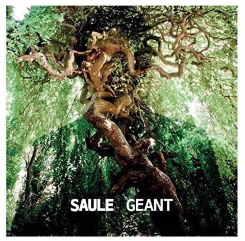 Saule: Geant  / Record