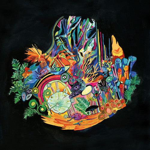 Kaitlyn Aurelia Smith- Ears [ VINYL LP ]