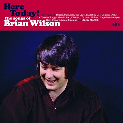 Here Today! Songs Of Brian Wilson / Various Uk- Here Today! Songs Of Brian Wilson / Various [ VINYL LP ]