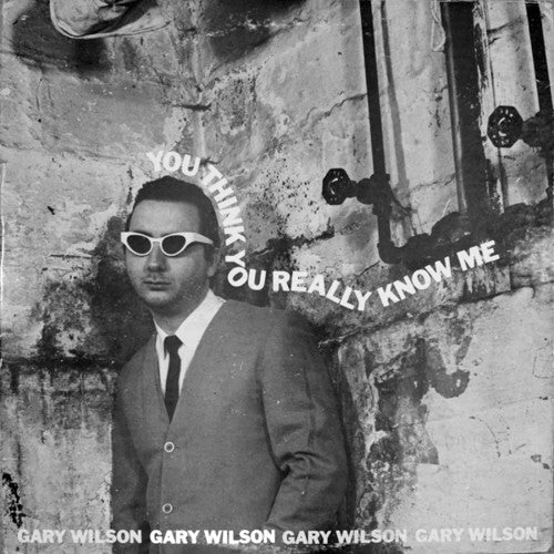 Gary Wilson- You Think You Really Know Me [ VINYL LP ]