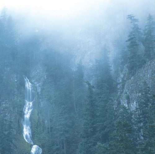 Wolves In The Throne Room- Diadem Of 12 Stars [ VINYL LP ]