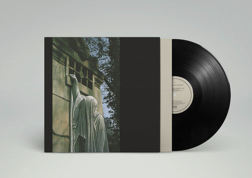 Dead Can Dance- Within The Realm Of A Dying Sun [ VINYL LP ]