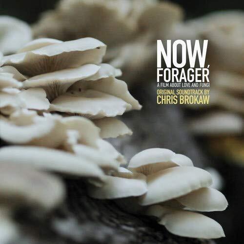 Chris Brokaw- Now Forager (Original Soundtrack) [ VINYL LP ]