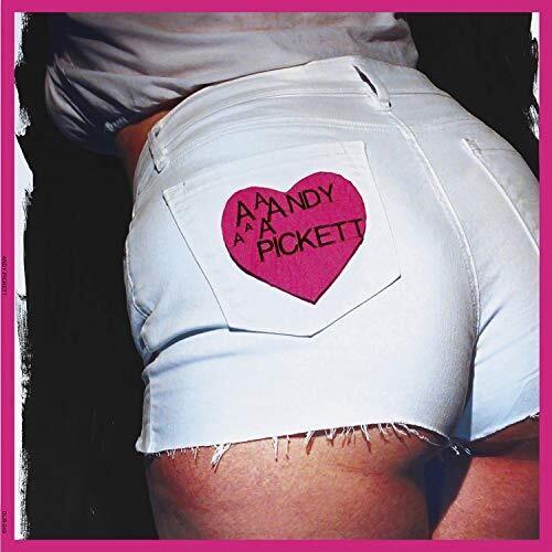 Andy Pickett- Andy Pickett [ VINYL LP ]