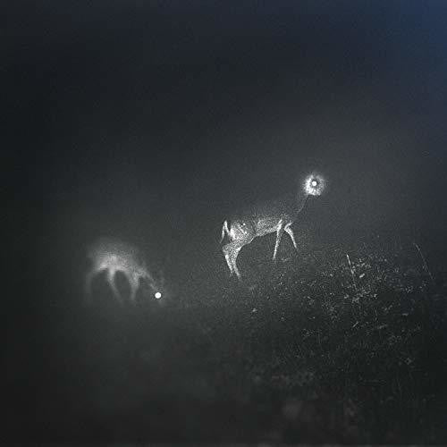Bliss Signal- Bliss Signal [Limited Edition] [ VINYL LP ]
