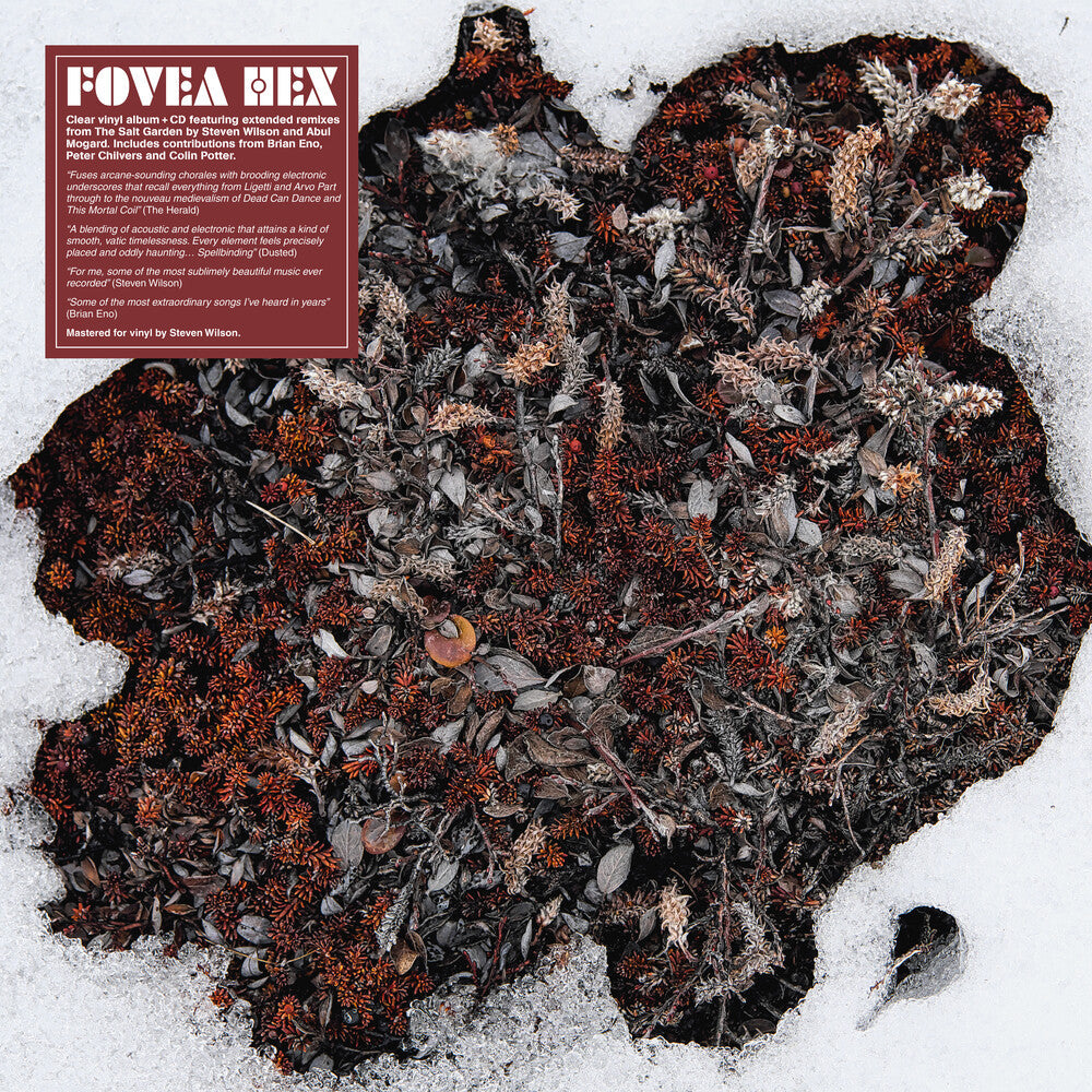 Fovea Hex- Salt Garden (Clear Vinyl) (W/Cd) [Clear Vinyl] [ VINYL LP ]