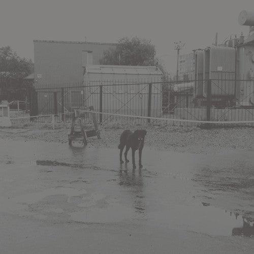 Nivhek- After Its Own Death / Walking In A Spiral Towards The House [ VINYL LP ]