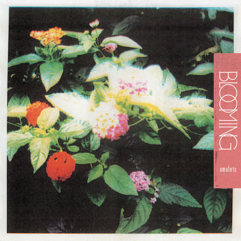 Amulets- Blooming [ VINYL LP ]