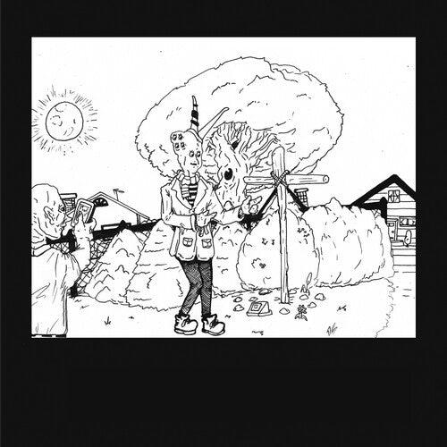 Teen Suicide- It's the Big Joyous Celebration Let's Stir the Honeypot [ VINYL LP ]
