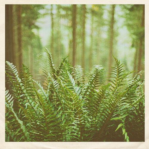 mtbrd- Just Visiting [ VINYL LP ]