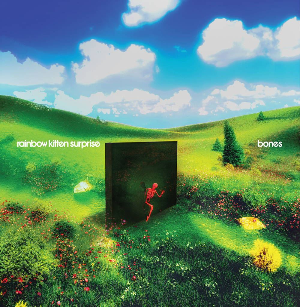 Rainbow Kitten Surprise- bones [ VINYL LP ]