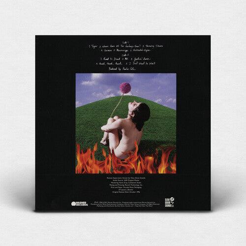 Paula Cole- This Fire (Indie Exclusive Blue Vinyl) [ VINYL LP ]