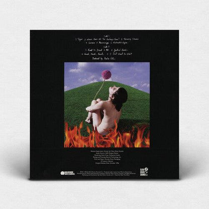 Paula Cole- This Fire (Indie Exclusive Blue Vinyl) [ VINYL LP ]