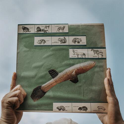 Cotton Jones- The River Strumming [ VINYL LP ]