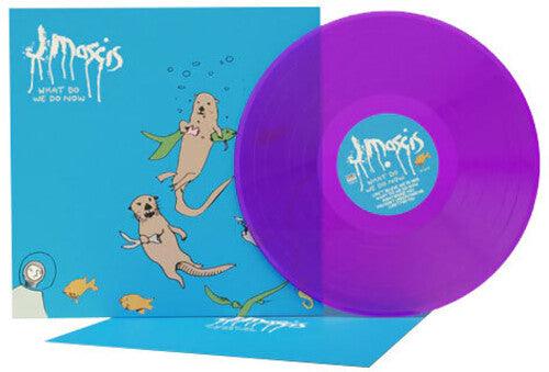 J Mascis (Dinosaur Jr.)- What Do We Do Now [ VINYL LP ]