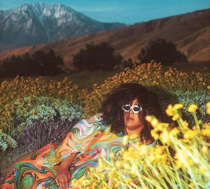 Brittany Howard- What Now [ VINYL LP ]