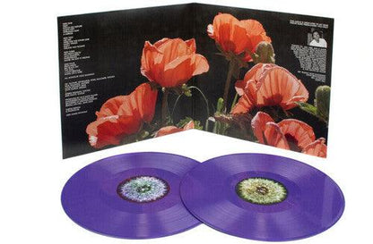 The Bevis Frond- Focus On Nature [ VINYL LP ]