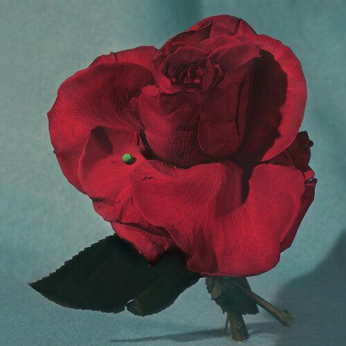 METZ- Up on Gravity Hill (Loser Edition) [ VINYL LP ]