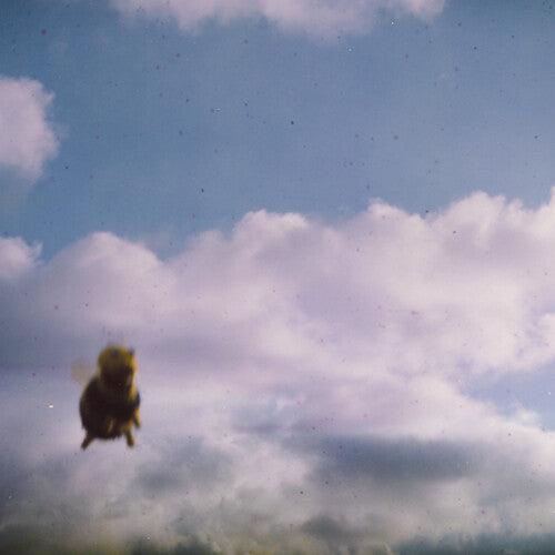 Pond- Stung! (Indie Exclusive Vinyl) [ VINYL LP ]