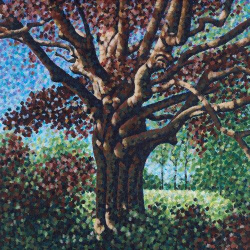 One Step Closer- Songs for the Willow (Clear Vinyl) [ VINYL LP ]