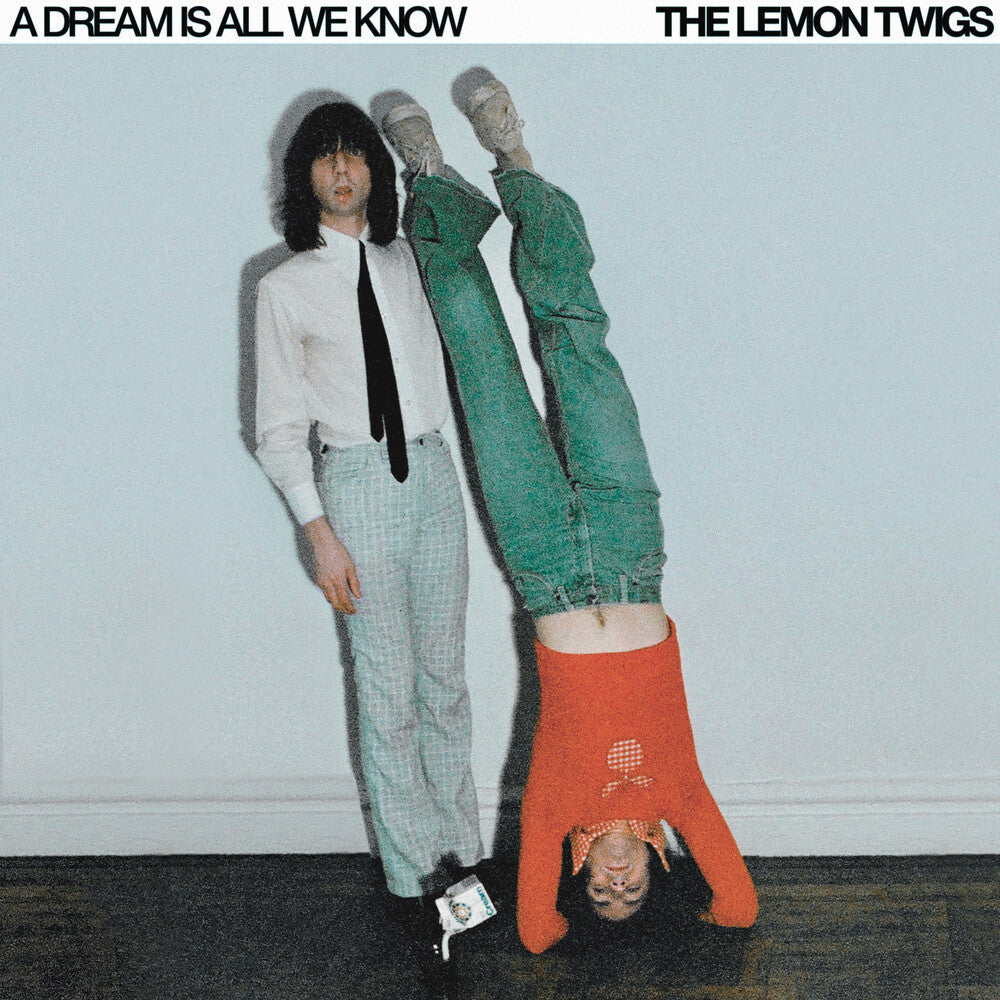 Lemon Twigs- Dream Is All We Know [ VINYL LP ]