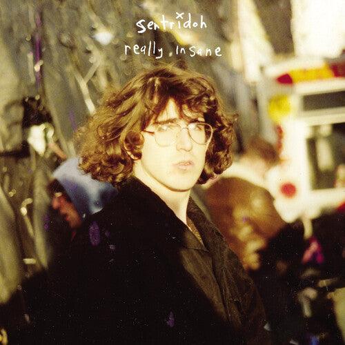 Sentridoh- Really Insane : A Lou Barlow Compendium [ VINYL LP ]