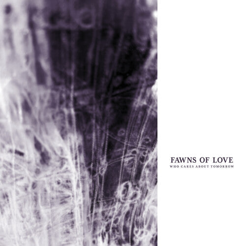 Fawns of Love- Who Cares About Tomorrow [ VINYL LP ]