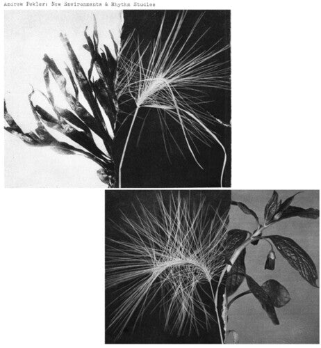 Andrew Pekler- New Environments And Rhythm Studies [ VINYL LP ]