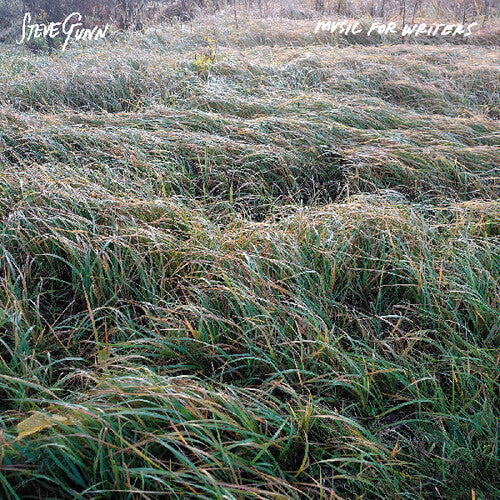 Steve Gunn- Music For Writers [ VINYL LP ]