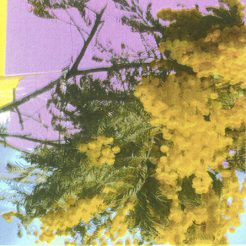 Four Tet- Into Dust (Still Falling) (Indie Exclusive Vinyl) [ VINYL LP ]