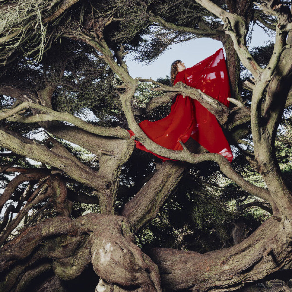 Hannah Frances- Nested In Tangles [Colored Vinyl] (Red) [ VINYL LP ]