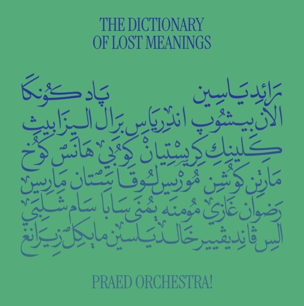Praed Orchestra- Dictionary Of Lost Meanings [ VINYL LP ]