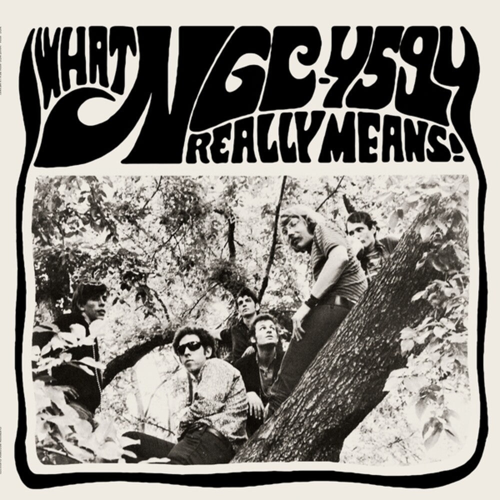 Ngc-4594- What Ngc-4594 Really Means [ VINYL LP ]