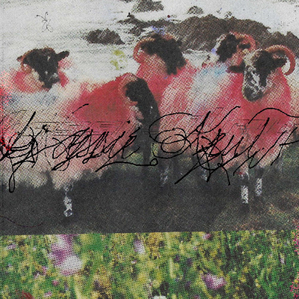 Kassie Krut- Kassie Krut [ VINYL LP ]