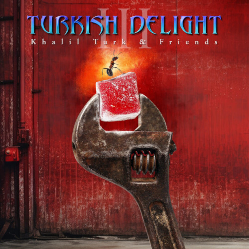 Turkish Delight Volume Three / Various- Turkish Delight Volume Three / Various [ VINYL LP ]