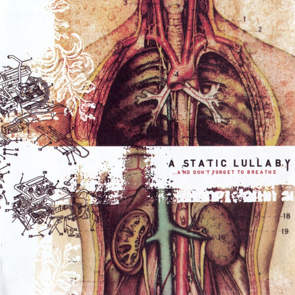 Static Lullalby- & Don't Forget To Breathe [Reissue] [ VINYL LP ]