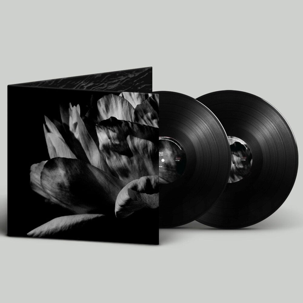 Louise Roam- La Ou Passe La Nuit (Gate) [ VINYL LP ]