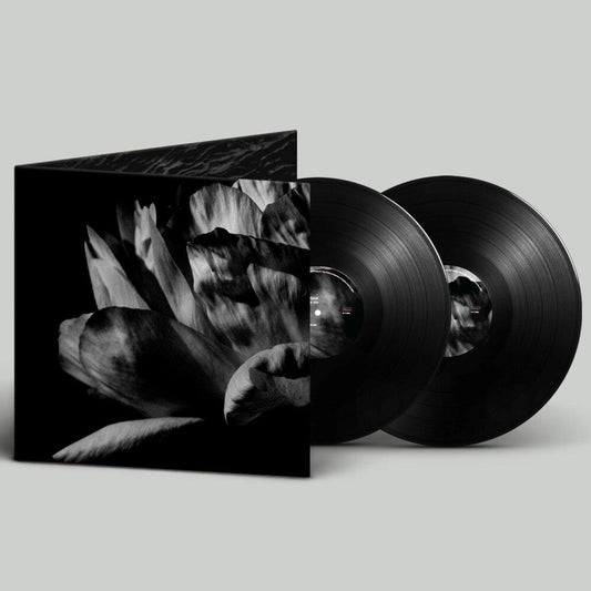 Louise Roam- La Ou Passe La Nuit (Gate) [ VINYL LP ]