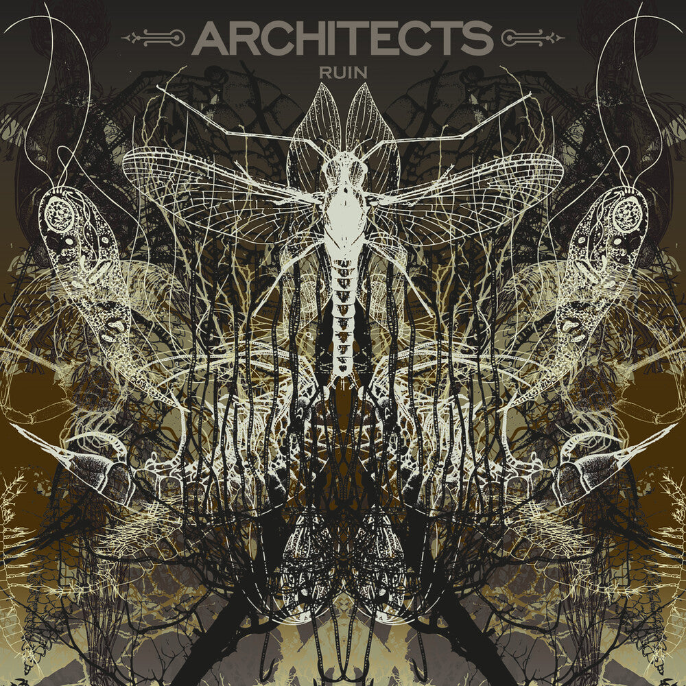 Architects- Ruin [Limited Edition] (Pict) [ VINYL LP ]