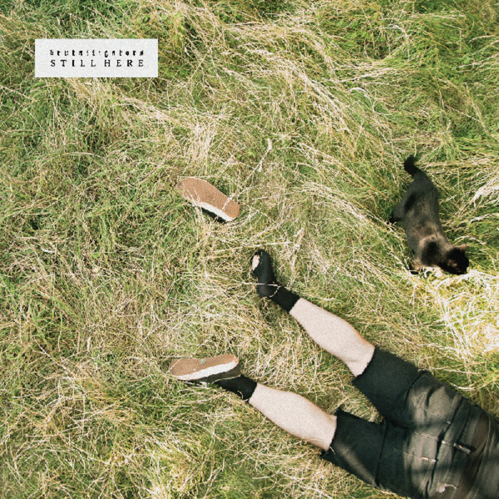 Brutalligators- Still Here [Colored Vinyl] (Grn) [Indie Exclusive] (Mrb) [ VINYL LP ]